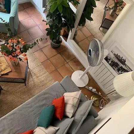 33 On The Old Historic Senate Square