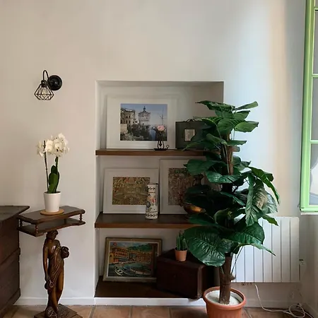 33 On The Old Historic Senate Square Lägenhet *